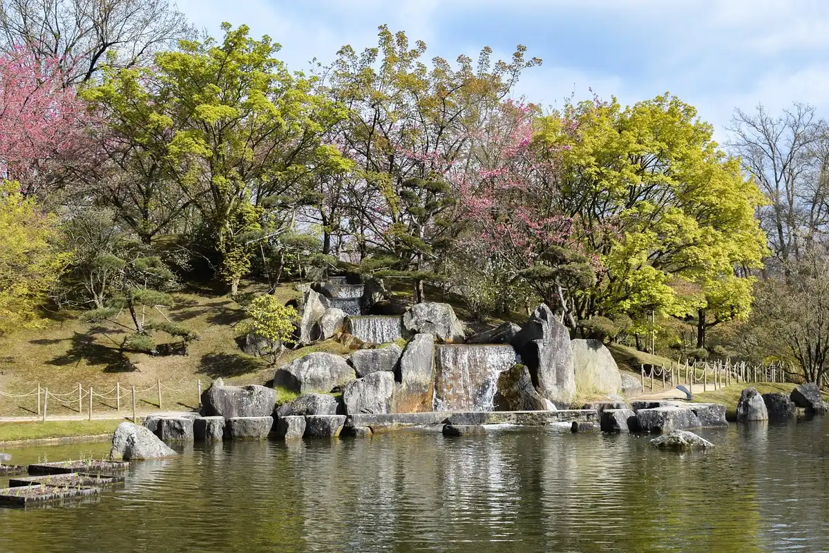 Renouée du Japon envahissant une lisière de jardin
